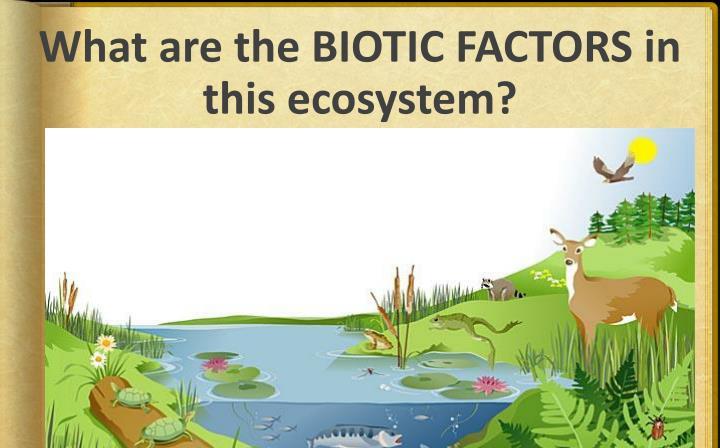 What are biotic factors?